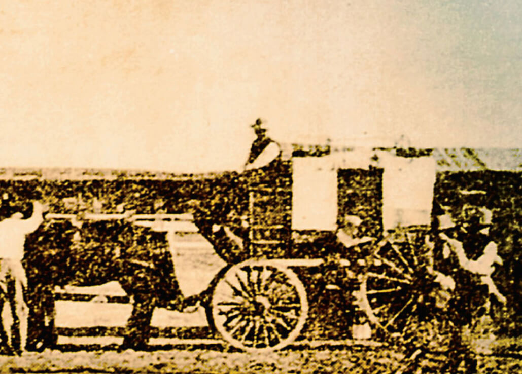 Vintage Horse & Cart Photo