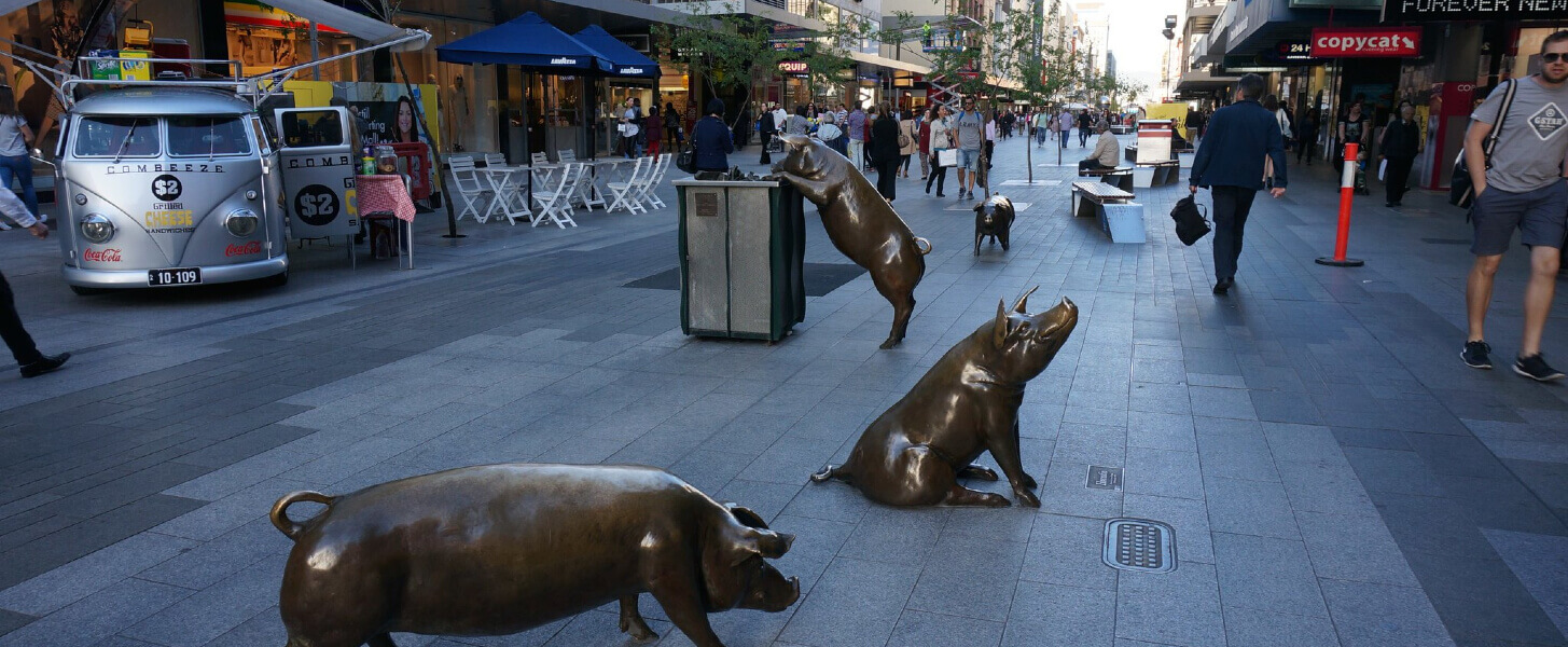 Cash Collection Adelaide